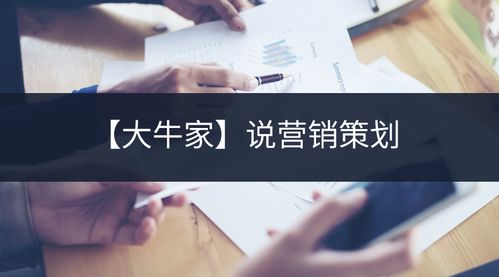 大牛家 營銷策劃與企業(yè)咨詢的雙輪驅(qū)動之道